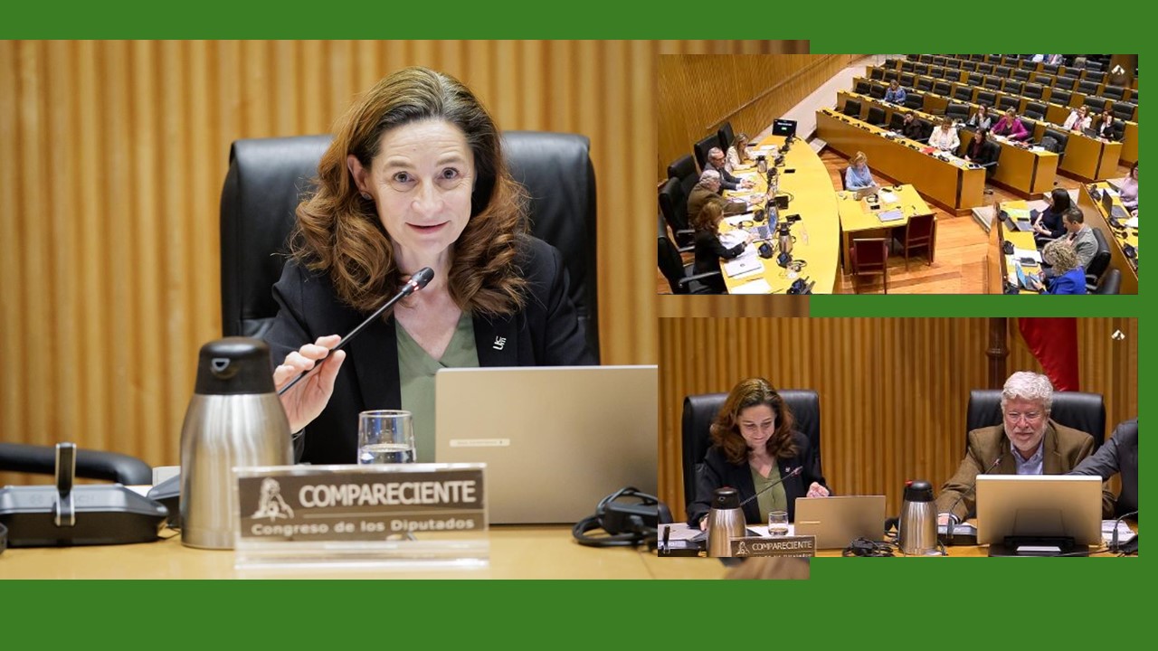 Comparecencia de nuestra Decana, Consuelo Serres en la subcomisión para el estudio del sector veterinario en el Congreso de los Diputados